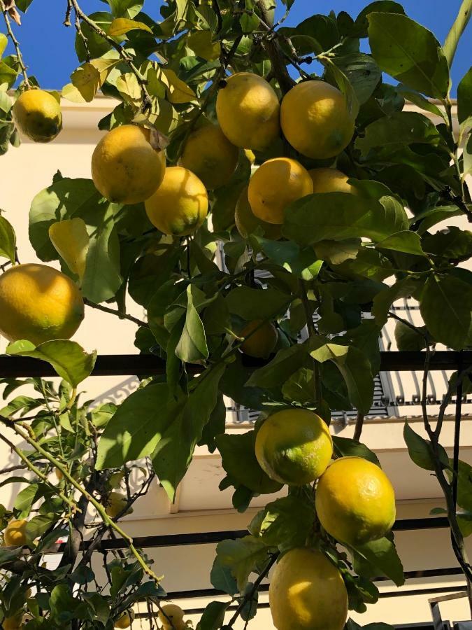 Il Giardino Di Nonno Agostino Bed and Breakfast Castellammare di Stabia Eksteriør billede
